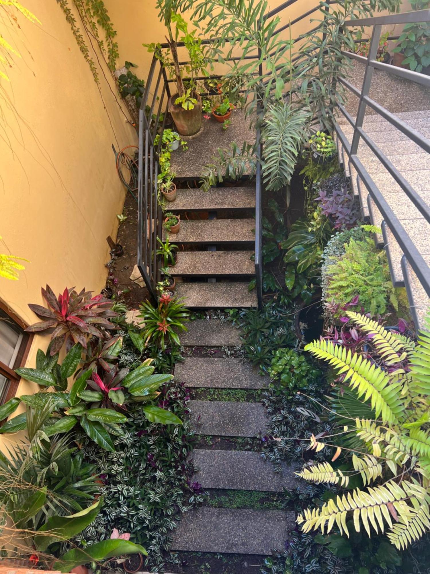 Готель Casa Botanica Ло-де-Маркос Екстер'єр фото